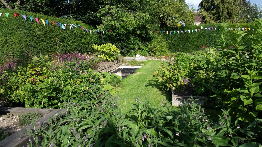 Pond in secret garden