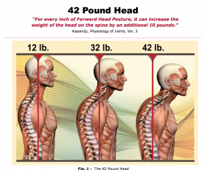 Diagram of posture and head position - Body Mind Coaching: Posture