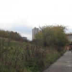 View to David Murray John tower