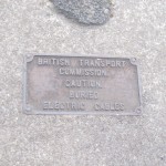 Plaque on path