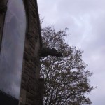 Flying pig gargoyle