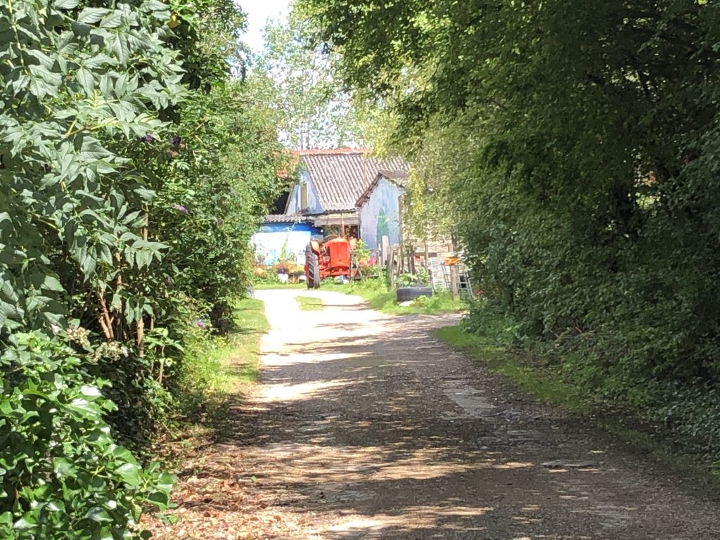 Looking down lane to lower shaw farm