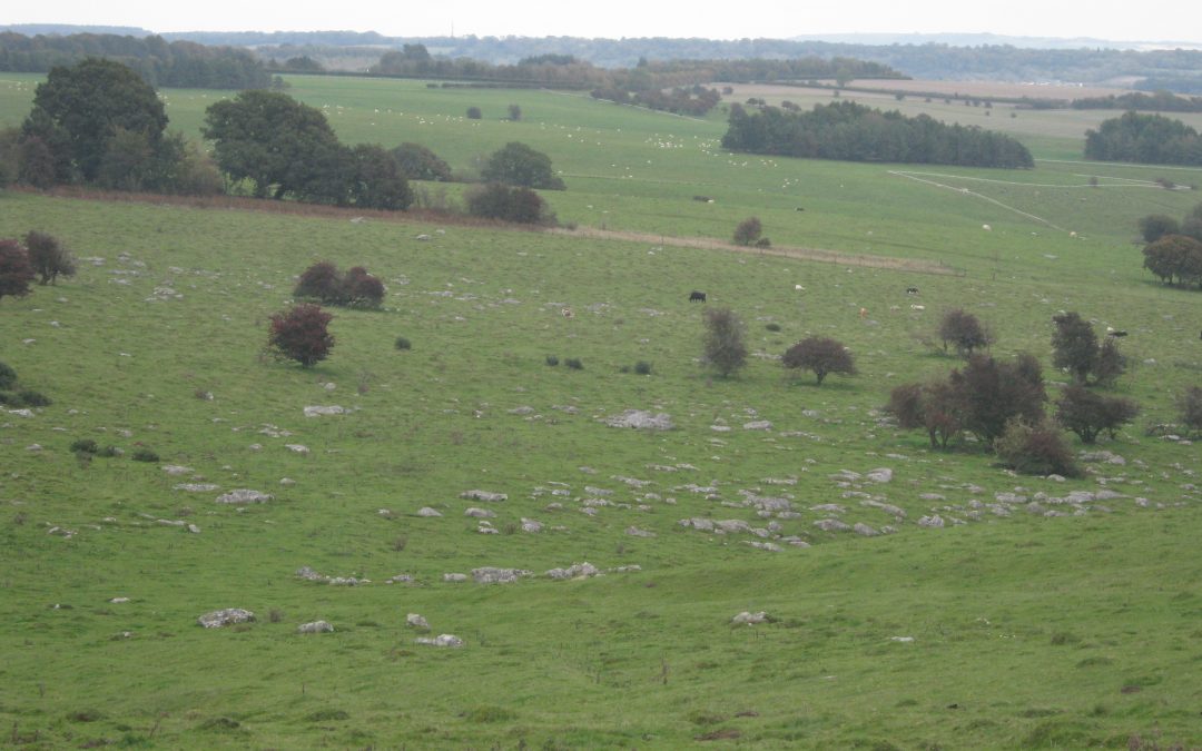 Wiltshire’s Sarsen Stones
