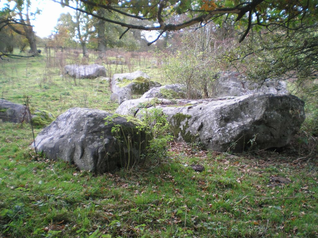 lockeridge dene - Wiltshire's Sarsen Stones
