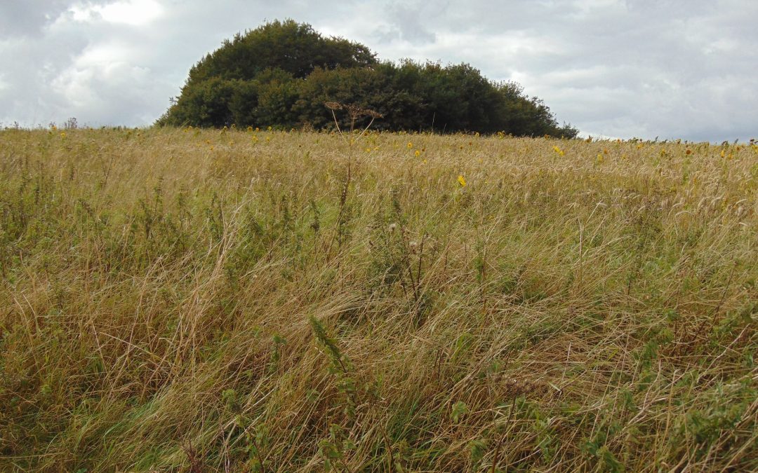 About Liddington Hill Swindon