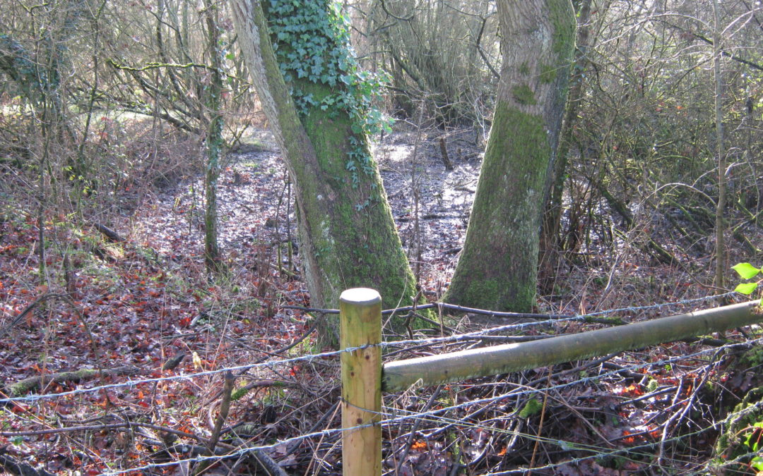 Royal Wootton Bassett Mud Springs