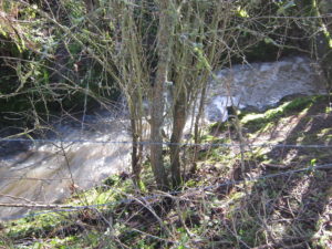  a stream