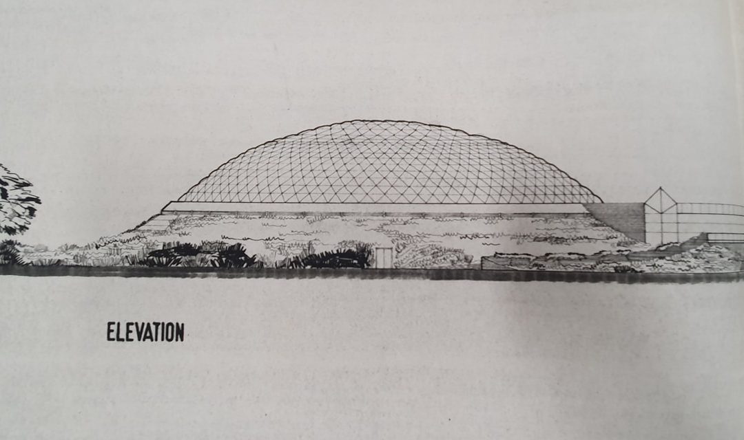 Oasis reflections from the 1970s