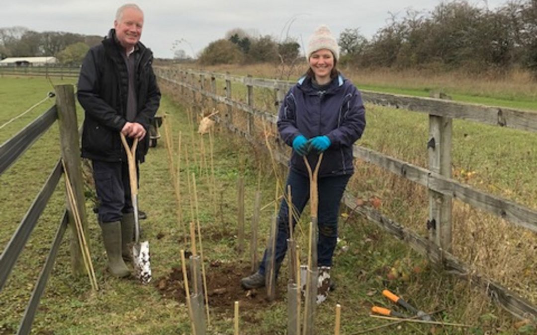 Volunteers Support Environment Project