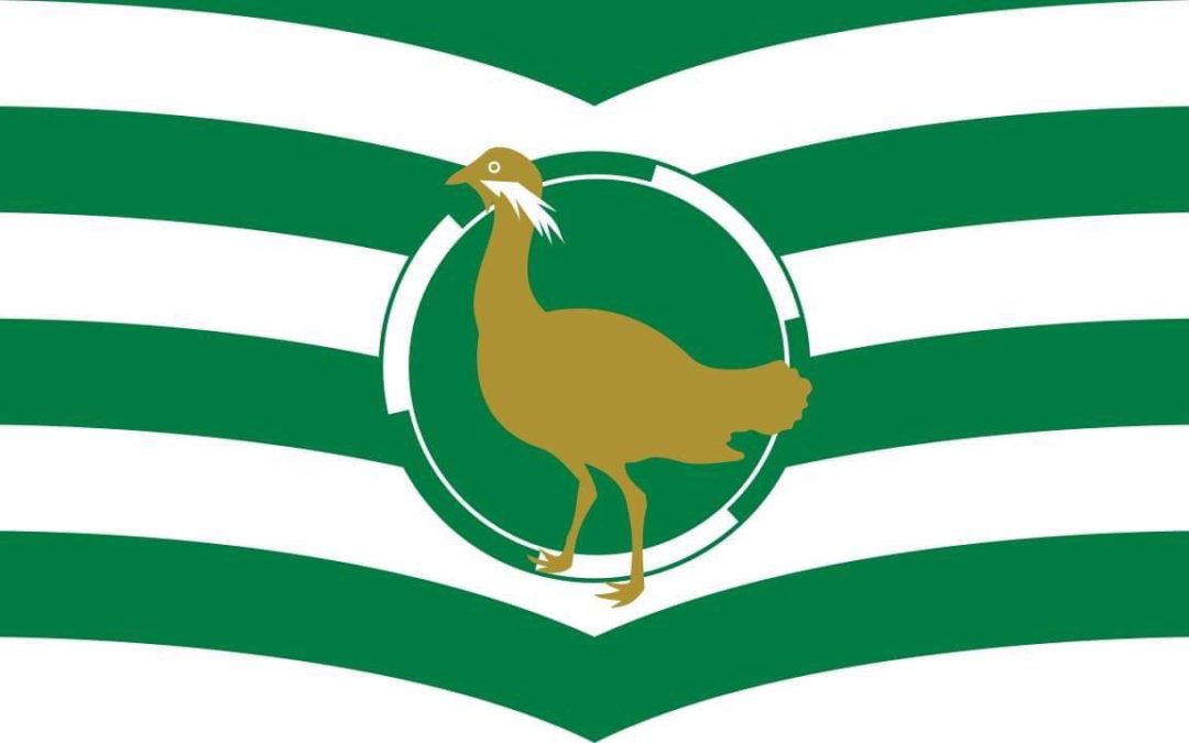 Wiltshire Day