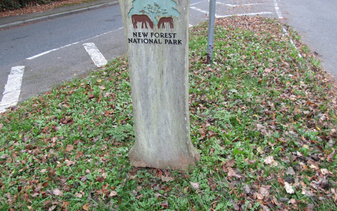 The Wiltshire New Forest