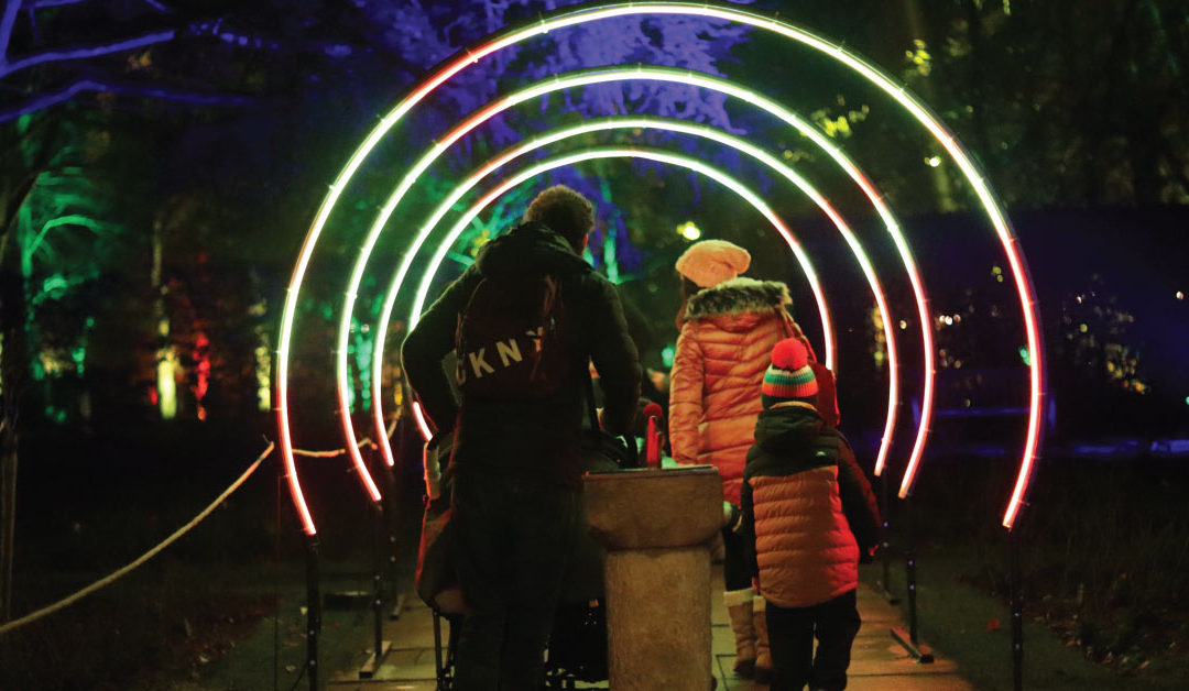 5 Star Reviews for Light Trail