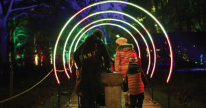 5 Star Reviews for Light Trail - part of the light trail