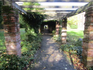 The pergola in the gardens at Swindon's civic offices