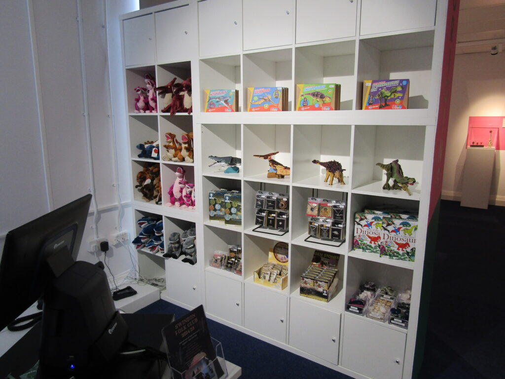 Dinosaur related merch in swindon museum and art gallery gift shop