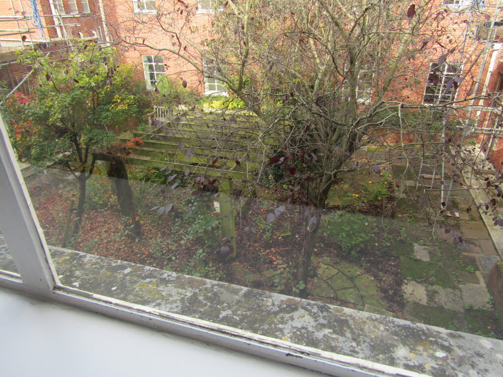 Swindon civic offices internal garden 1