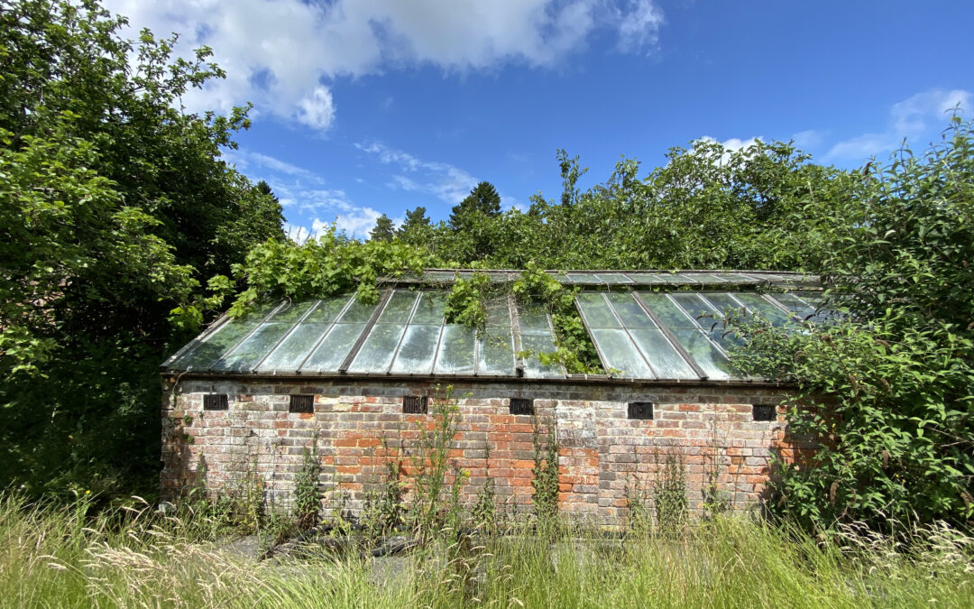 GLASS CROWN FOR BOTHY GARDENS