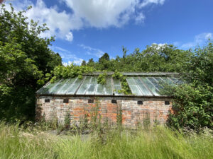 GLASS CROWN FOR BOTHY GARDENS - the Victorian greenhouse at Bothy Gardens