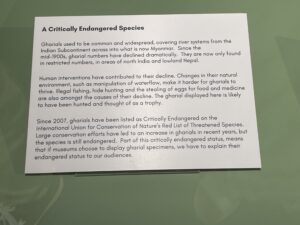 Info board with the gharial