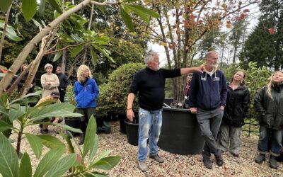 Historic Walled Garden Welcomes Visitors