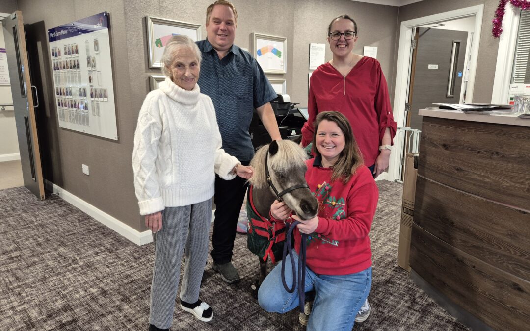 Therapy Horses at Care Show