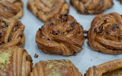 Pipp & Co Unveil New Products