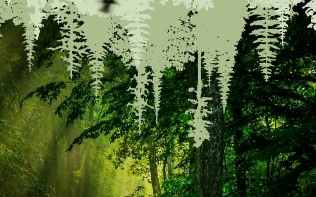 Beaconsbury Forest Book 2