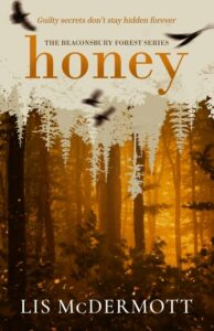 Front cover of HONEY - the first book in the Beaconsbury Forest series by Lis McDermott