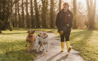 Not Every Dog Loves Walking