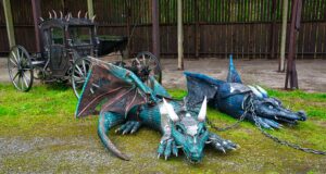 Words on Whitworth - Podpad studios baby dragons and coach